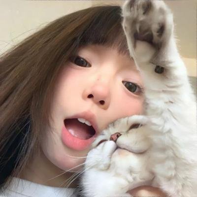 帝王蝶之子